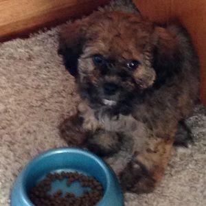 Meet your Posher, Darla